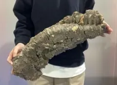 Item thumbnail for item 87fc32ab-18d7-4624-b1e3-9fec173a85cb