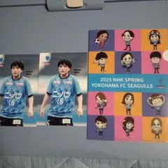 奈良美沙季　ニッパツ横浜FCシーガルズ　ポストカード2枚　クリアファイル