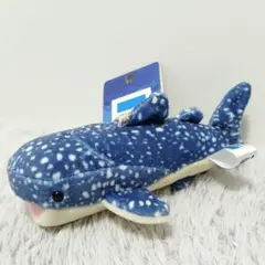 沖縄美ら海水族館 イルカ ぬいぐるみ マスコット - メルカリ