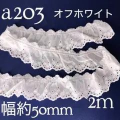 a203刺繍入り綿生地フリルレース　オフホワイト（2m）