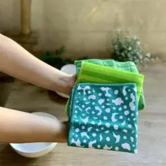 Item thumbnail for item bf40a1b8-1a3c-4159-a727-2e5d95ea5820