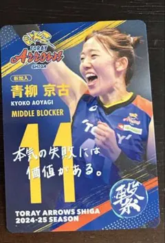 2026年最新】東レアローズ グッズの人気アイテム - メルカリ