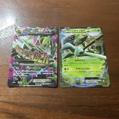 2025年最新】MジュカインEX srの人気アイテム - メルカリ