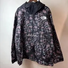 THE NORTH FACE Anorak GORE-TEX Pullover