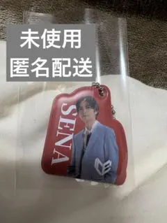 EBiDAN ガチャ PVCチャーム ICEx 竹野世梛 - メルカリ