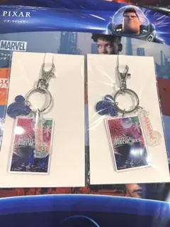 Disney Music & Fireworks キーホルダー　新品　未開封のサムネイル
