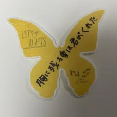 INI 木村 落下物