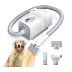 Item thumbnail for item 19a02d56-2752-4bf6-81f1-e5206609904b