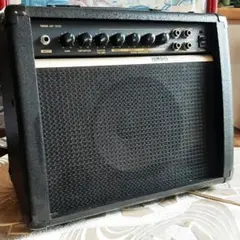 EDEN E8 ベースアンプ 25W - メルカリ