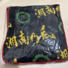 湘南乃風 ミュージシャン