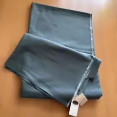 Agnona カシミア生地 ライトグリーン2.00M