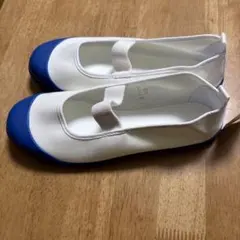 上履き ムーンスター 23.5 青