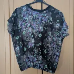 ZARA　花柄 シアートップス