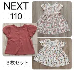 NEXT 女の子 【110】 3枚セット Tシャツ チュニック 花柄 動物柄のサムネイル