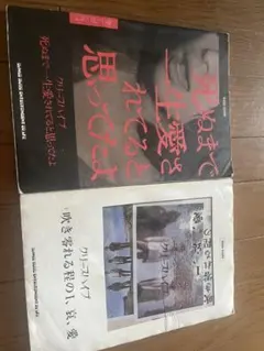 値下げ‼️2冊セット‼️蛇にピアス アッシュベイビー 2冊ともに初版 元 