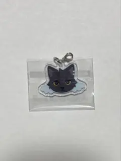 nexz ユウ アイドル