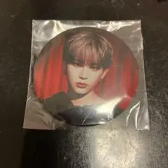 HARUA &TEAM 缶バッジ