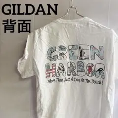 GILDAN 【M】 Tシャツ GREEN HARBO ウルトラコットン