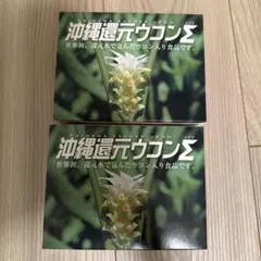 2026年最新】沖縄還元ウコンの人気アイテム - メルカリ