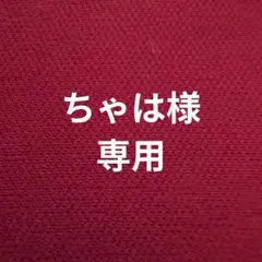 ちゃは様専用