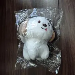 2026年最新】Riize ぬいぐるみ アントンの人気アイテム - メルカリ