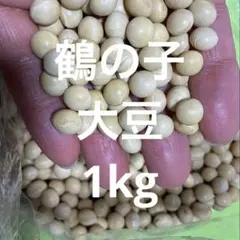 大豆(ゆきほまれ) 十勝産 1.5kg+1割増量 - メルカリ