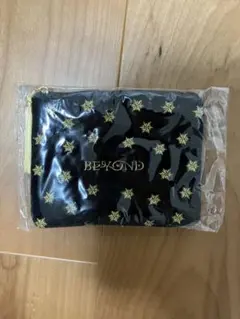 浅田真央アイスショー BEYOND ベロアポーチのサムネイル