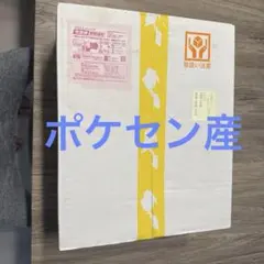 プレシャスコレクターボックス　新品未開封のサムネイル