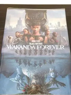 【美品】 ワカンダ・フォーエバー ブラックパンサー 映画 パンフレット