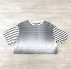 LEPSIM　ワイドクロップドTシャツ　フリー　黒白ボーダー　半袖