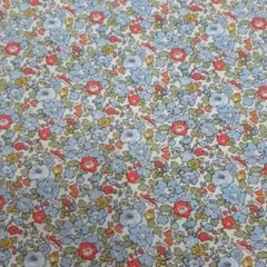 Item thumbnail for item 858301af-8612-4509-9aeb-3419cbb19b43