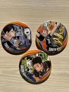 ハイキュー!! 烏野高校　缶バッジセット