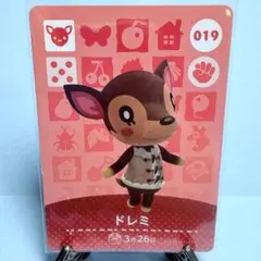 rai様 リクエスト 3点 まとめ商品