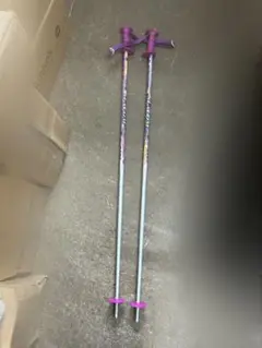 Item thumbnail for item 343152b0-0cf5-4389-902b-8e8b3cce3a57