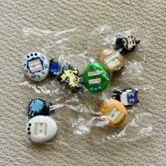 たまごっち　チョコサプ