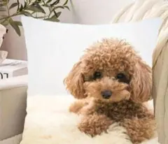 yoshi様 リクエスト 2点 まとめ商品