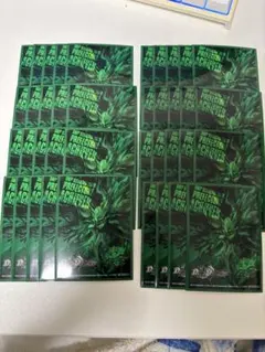 バラギアラデッキ　俺のターン！スリーブ　二重 バラギアラデッキ 二重スリーブ付き！