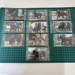 競馬サラブレッドホースコレクションカード