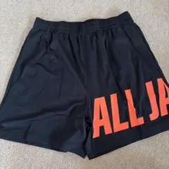 XOサイズ【ALL JAPAN 2024】デサント インターハイ ショートパンツ