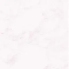 ぽんた様専用 生写真