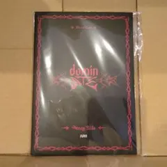 未使用 straykids DominATE POSTCARD BOOK ハン