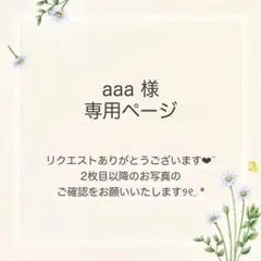 aaa様 おまとめ2点