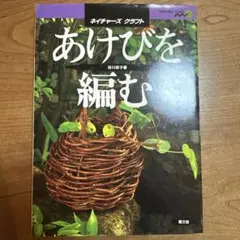 Item thumbnail for item 98180037-a2ed-4f99-9cd8-423cfe240fff