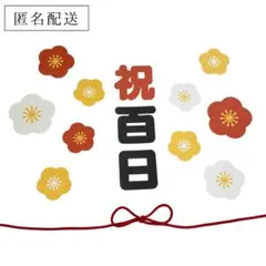 24時間以内発送【匿名】お食い初め・祝百日・熨斗アートセット|ベビーフォト