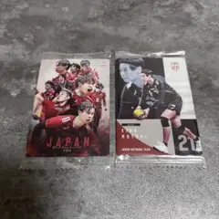 バレーボール男子日本代表 ツインウエハース 永露元稀