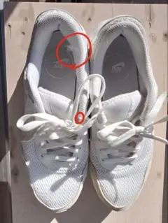 Item thumbnail for item af0722a3-01c2-48b2-af6c-7ccad3cacc89