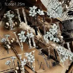 ln80♦︎霖蓝汐-素白罗马 PET 1ループ 1.25m