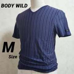 BODY WILD 半袖Tシャツ M 日本製 Vネック ストライプのサムネイル