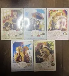 ある日、お姫様になってしまった件について 中国語版 5巻セット