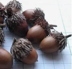 moko様 リクエスト 4点 まとめ商品